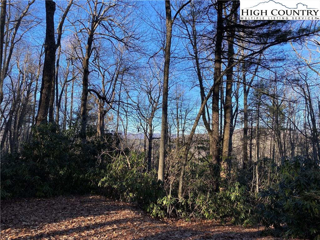 Lot 29 Milton Brown Heirs Road Boone, NC 28607 - Photo 4 of 7 Gallery Image 4