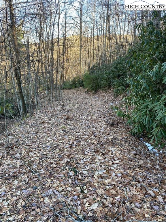 Lot 29 Milton Brown Heirs Road Boone, NC 28607 - Photo 6 of 7 Gallery Image 6