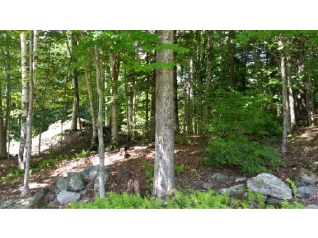 1793 Amidon Road Montgomery, VT 05471 - Photo 9 of 20