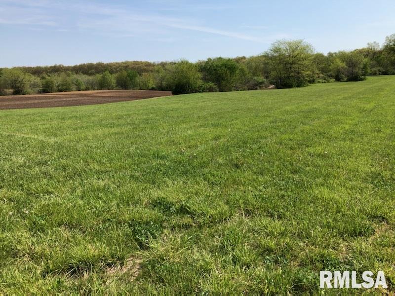 856 East Brink Road Centralia, IL 62801 - Photo 2 of 4