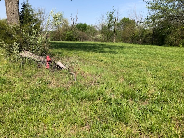 856 East Brink Road Centralia, IL 62801 - Photo 3 of 4