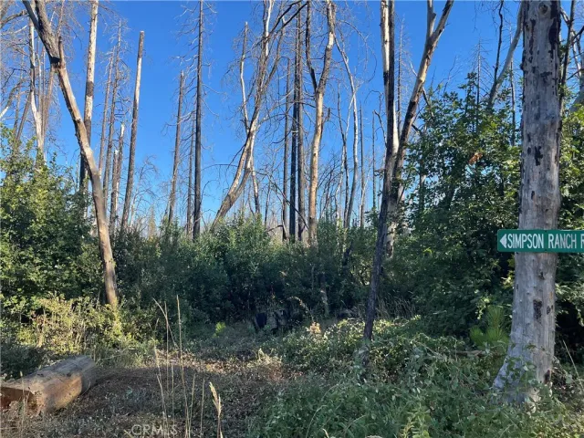 $5,000 | 0 Bay Ranch Road, Berry Creek, CA 95916