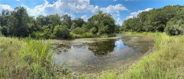a view of a lake with a yard