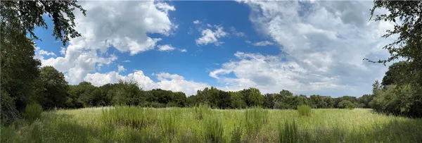 a view of lake with green space
