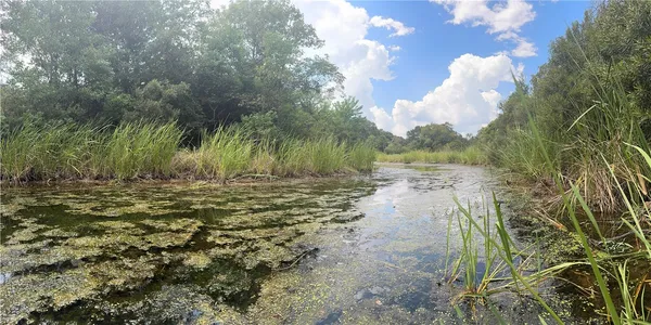 a view of a lake with beach