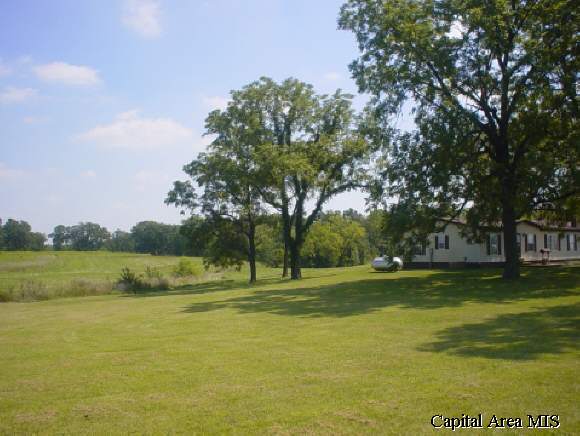 27471 Rt 111 Palmyra, IL 62674 - Photo 1 of 1