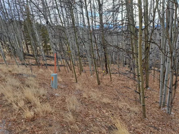 $80,000 | 503 Sugar Loaf Lane, Jefferson, CO 80456