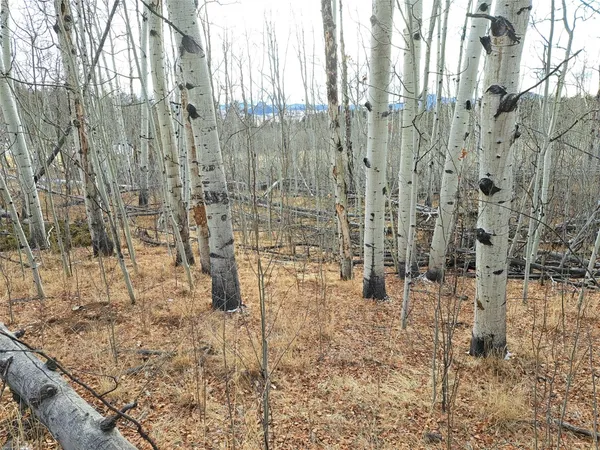 $80,000 | 503 Sugar Loaf Lane, Jefferson, CO 80456