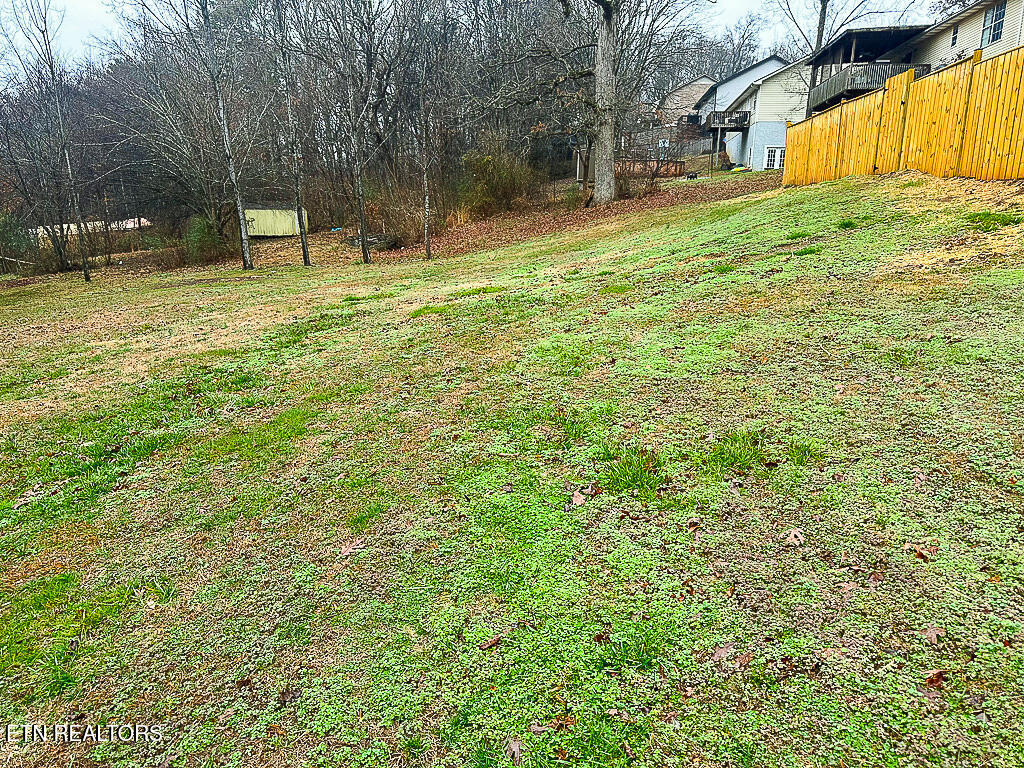 1203 Clendenen Road Maryville, TN 37801 - Photo 41 of 45 ZR