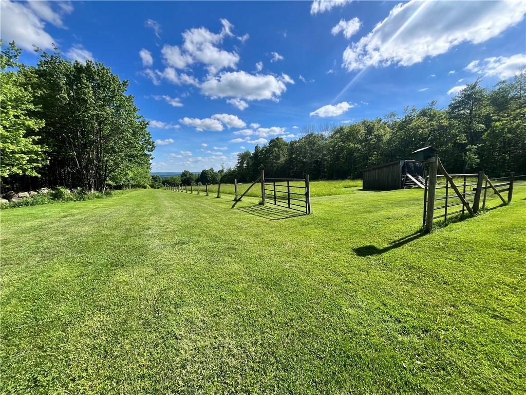 882 Alma Hill Road Alma, NY 14708 - Photo 27 of 46