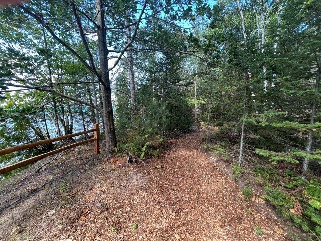 Tbd Antrim Dells Road Ellsworth, MI 49729 - Photo 12 of 23