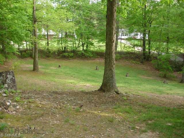 255 Oak Ridge Drive Mount Airy, NC 27030 - Photo 9 of 9 Other. Large front yard