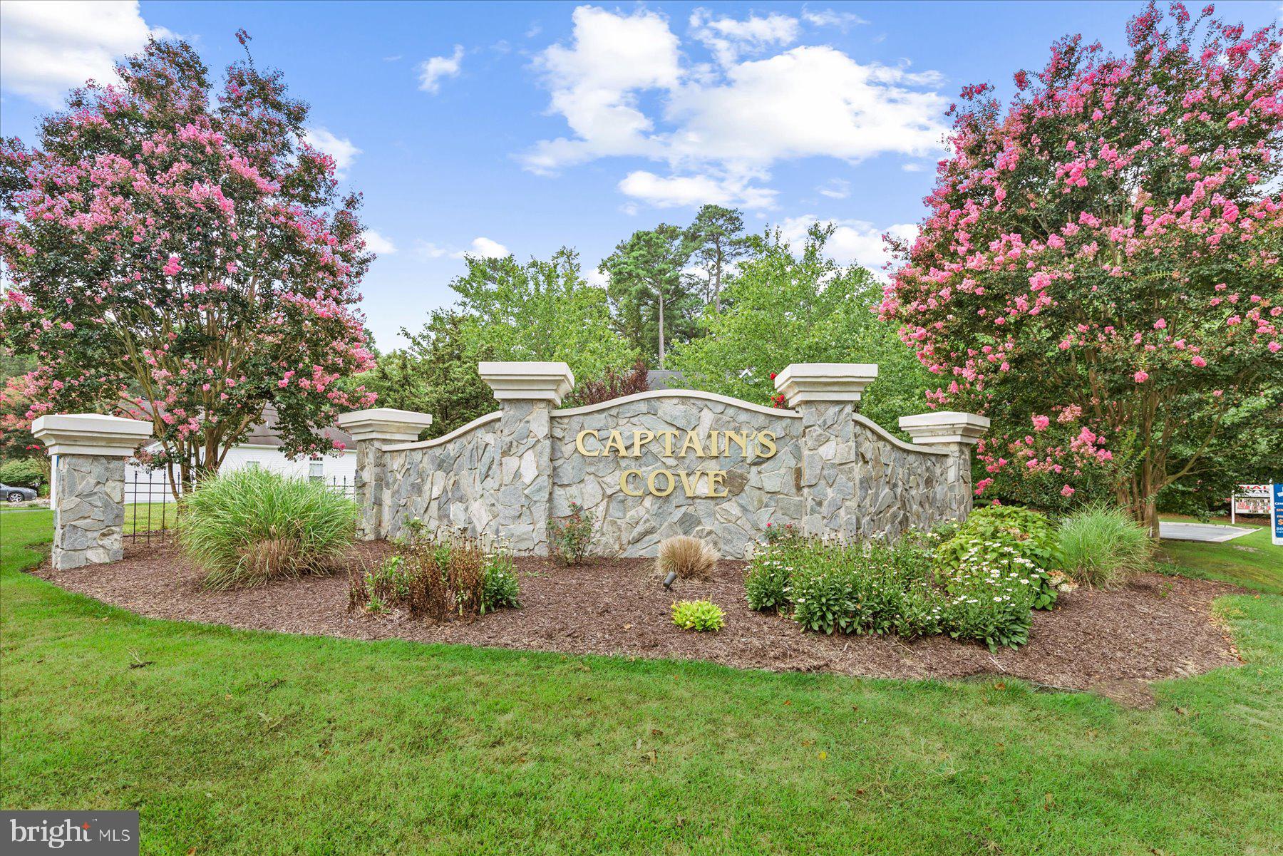 3336 Blackbeard Road Greenbackville, VA 23356 - Photo 22 of 51 a view of a garden with flowers and trees
