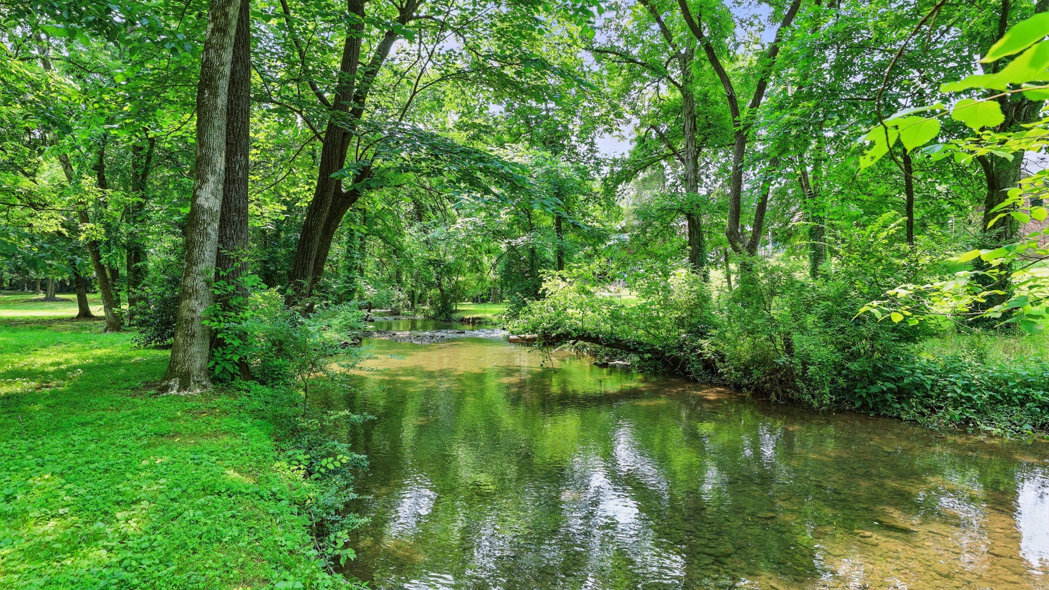 a view of lake background with green space
