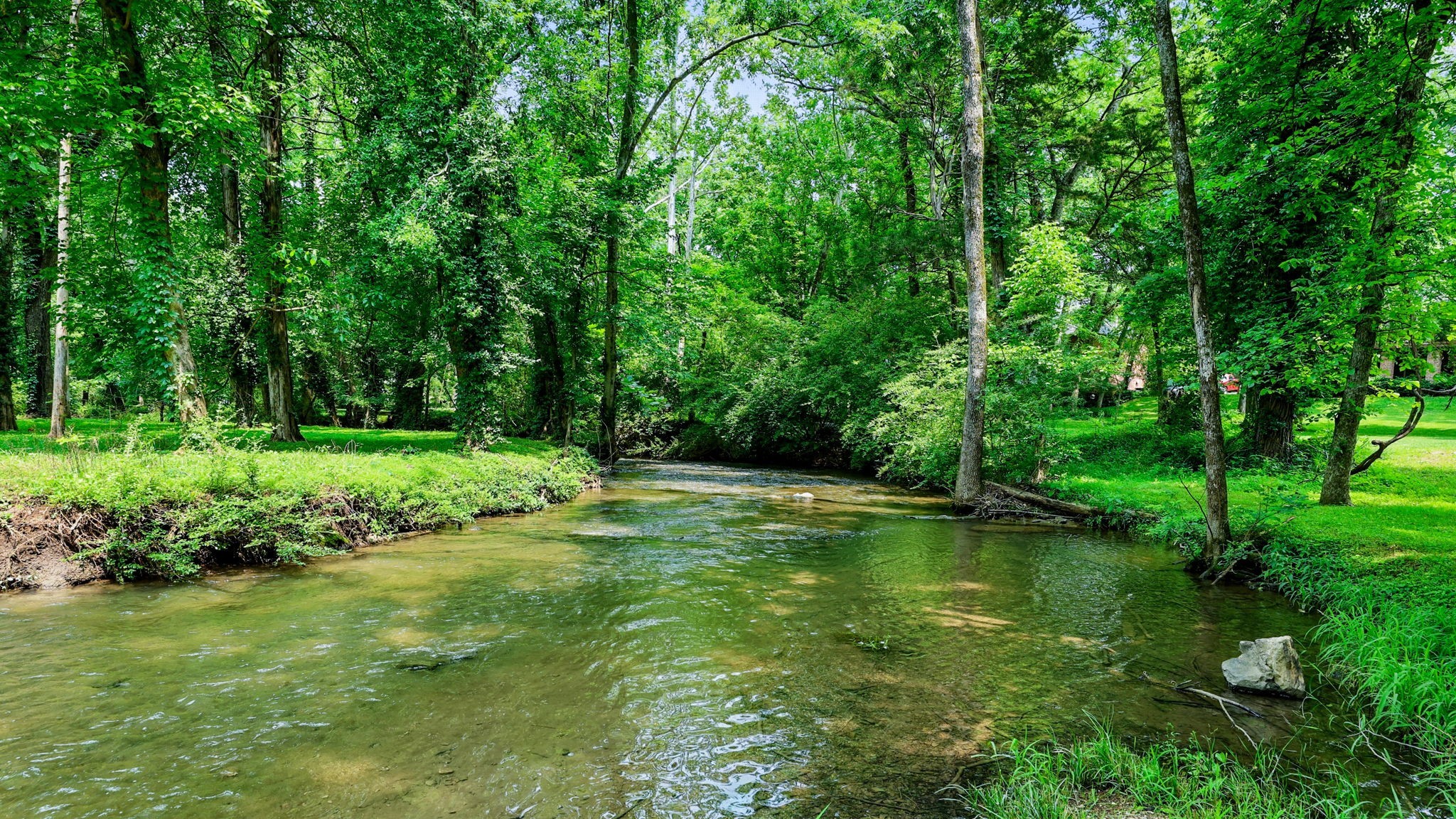 1719 Waterford Road Murfreesboro, TN 37129 - Photo 7 of 55 a view of a grassy area with large trees