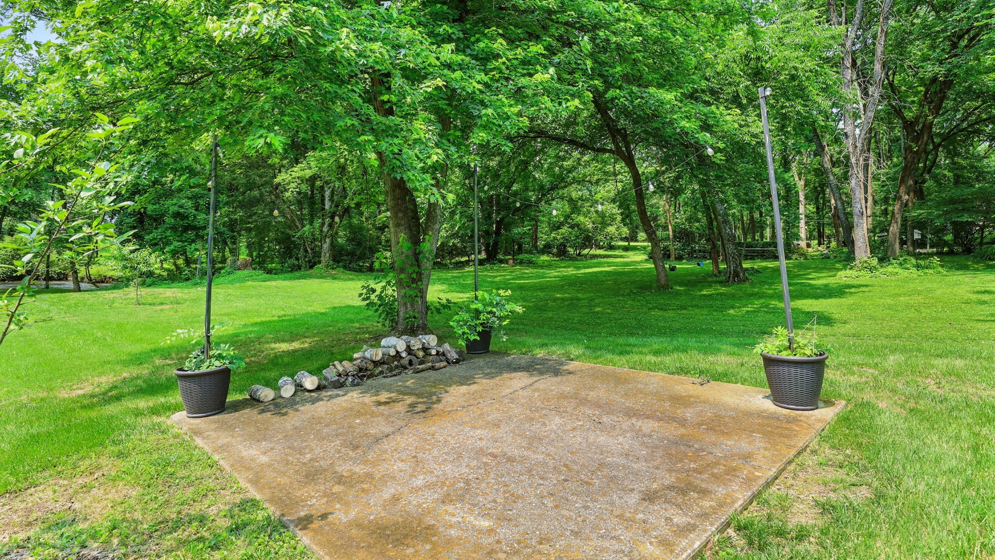 1719 Waterford Road Murfreesboro, TN 37129 - Photo 9 of 55 a view of a park with plants and trees