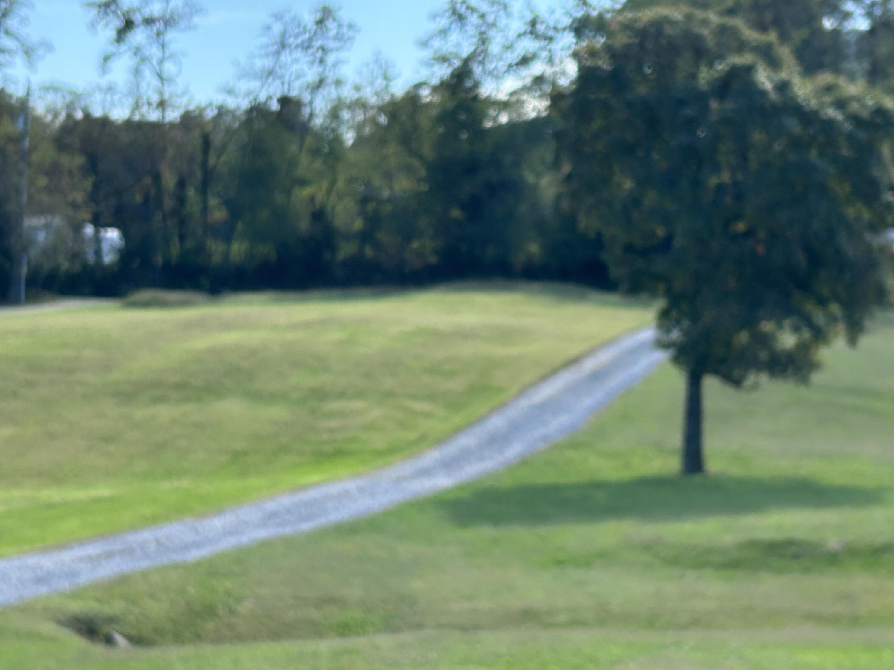 1291 Houston Mines Road Troutville, VA 24175 - Photo 22 of 25 Front yard