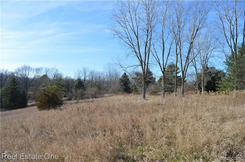 Vacant Childs Lake Road Milford, MI 48381 - Photo 16 of 18 Gallery Image 16