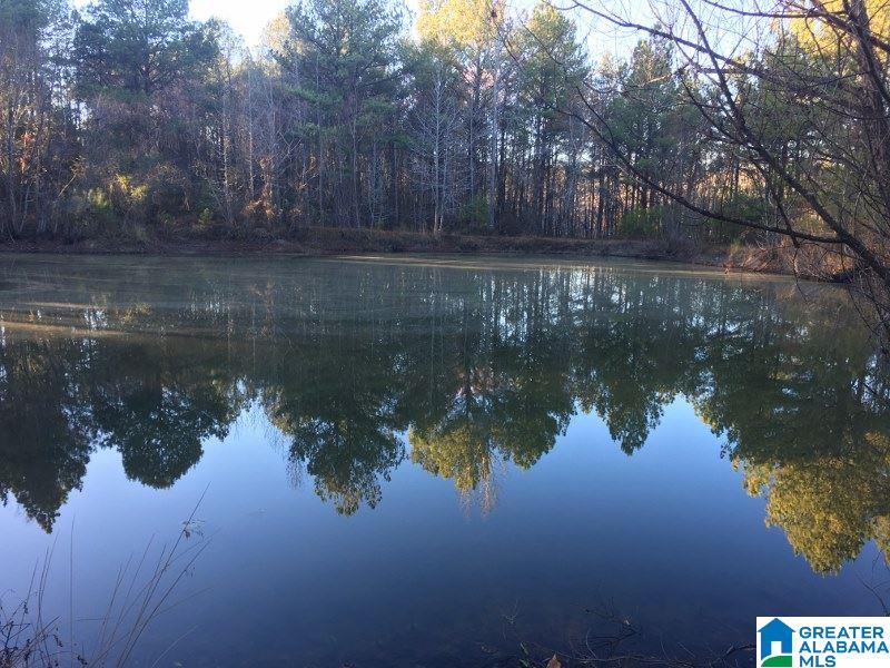 301 Deer Ridge Road West Blocton, AL 35184 - Photo 8 of 24