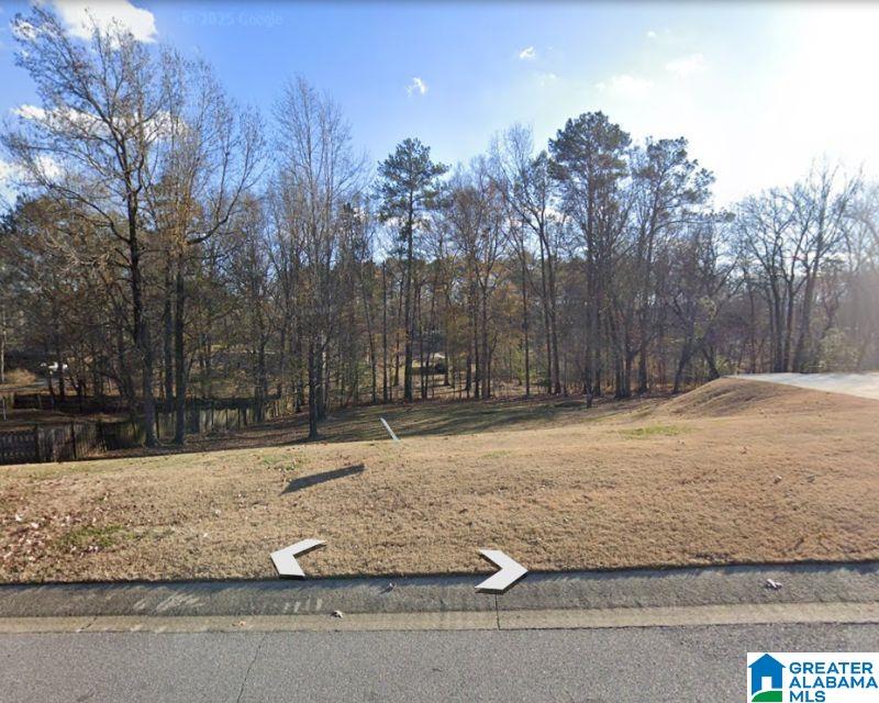 305 Deer Ridge Lane, Unit 103 Chelsea, AL 35043 - Photo 1 of 3