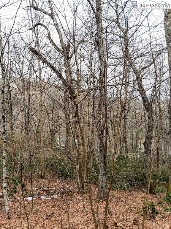 Midvalley Road Blowing Rock, NC 28605 - Photo 2 of 10 Gallery Image 2