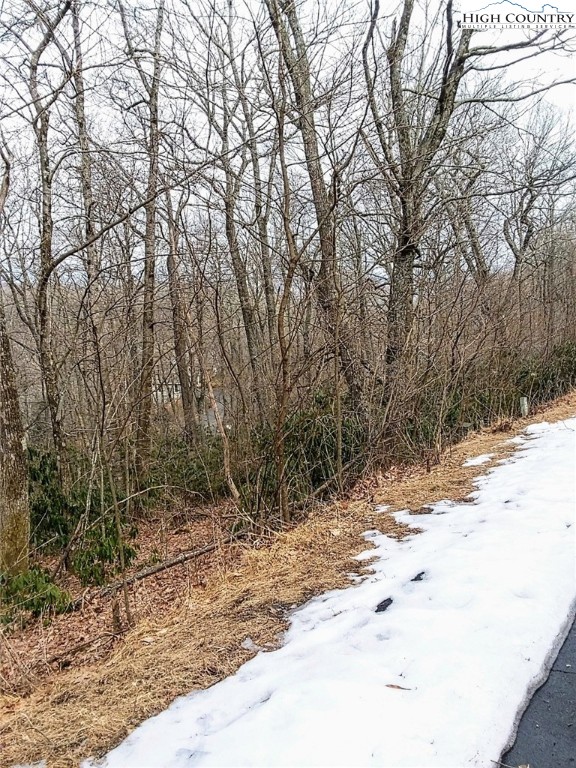 Midvalley Road Blowing Rock, NC 28605 - Photo 3 of 10 Gallery Image 3