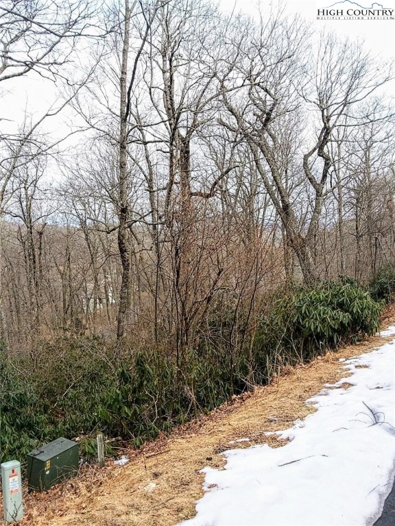 Midvalley Road Blowing Rock, NC 28605 - Photo 4 of 10 Gallery Image 4