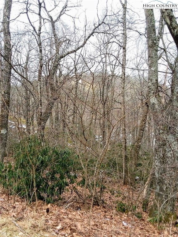 Midvalley Road Blowing Rock, NC 28605 - Photo 5 of 10 Gallery Image 5