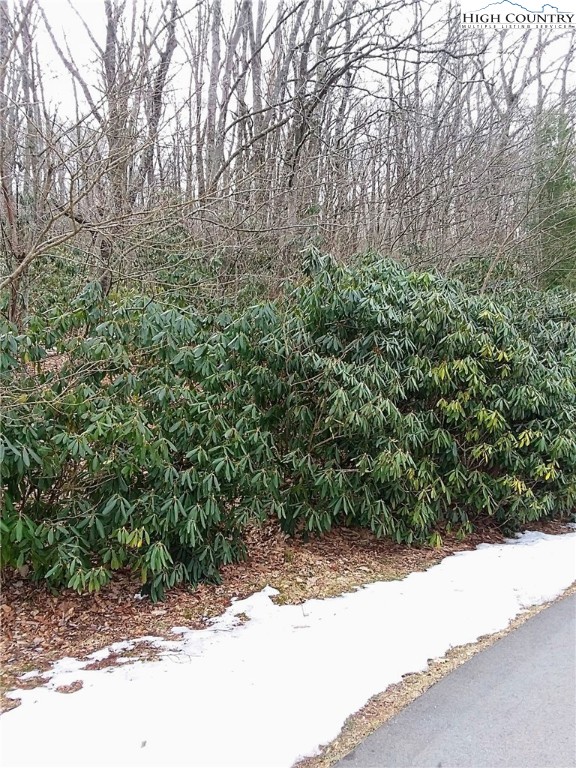 Midvalley Road Blowing Rock, NC 28605 - Photo 8 of 10 Gallery Image 8