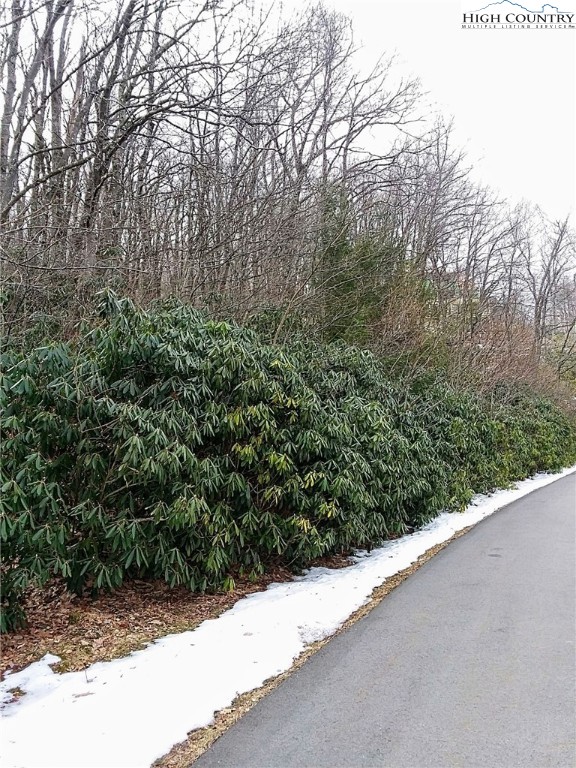 Midvalley Road Blowing Rock, NC 28605 - Photo 9 of 10 Gallery Image 9