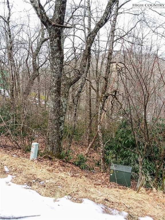 Midvalley Road Blowing Rock, NC 28605 - Photo 10 of 10 Gallery Image 10