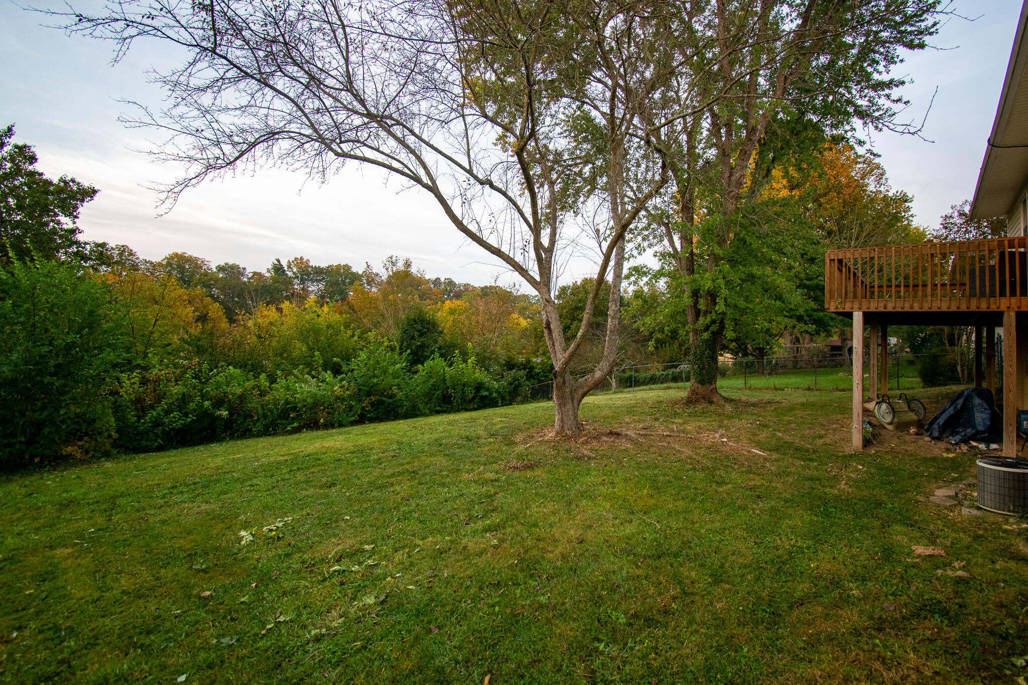 8316 Willow Ridge Road Roanoke, VA 24019 - Photo 12 of 31 DSC_0075