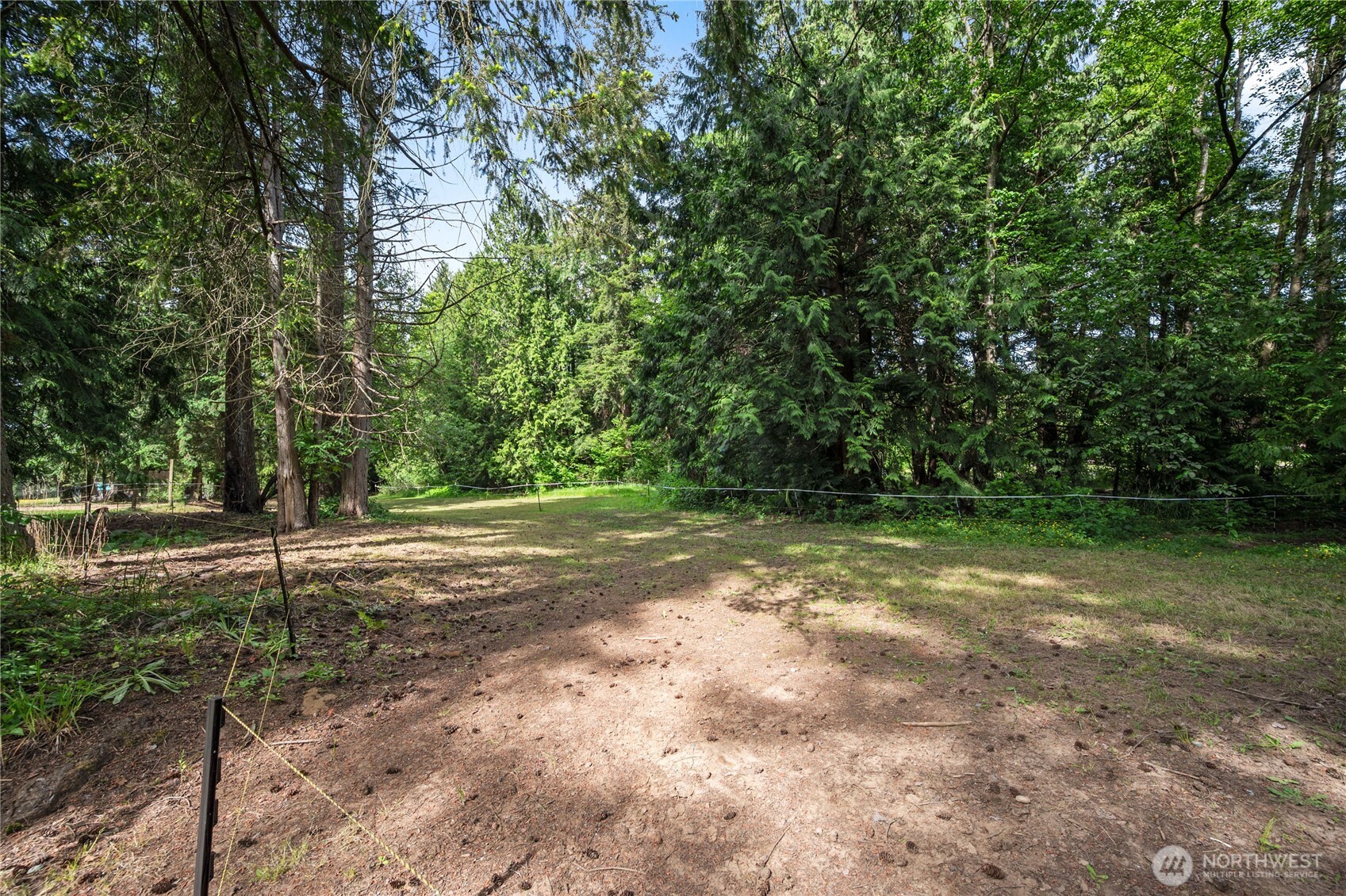 3233 Loomis Trail Road Custer, WA 98240 - Photo 29 of 35