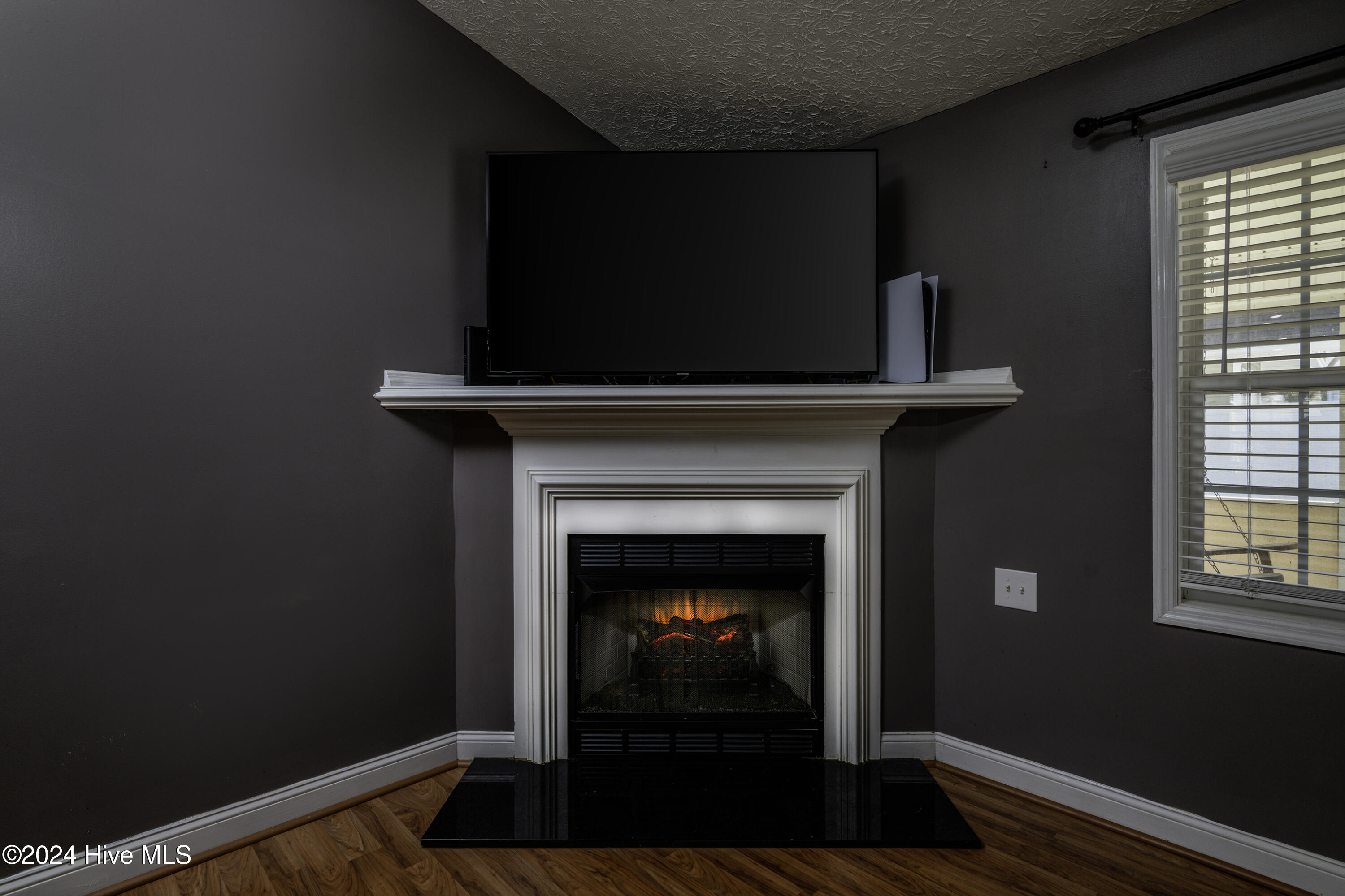 315 Conner Grant Road New Bern, NC 28562 - Photo 16 of 47 Cozy Fireplace