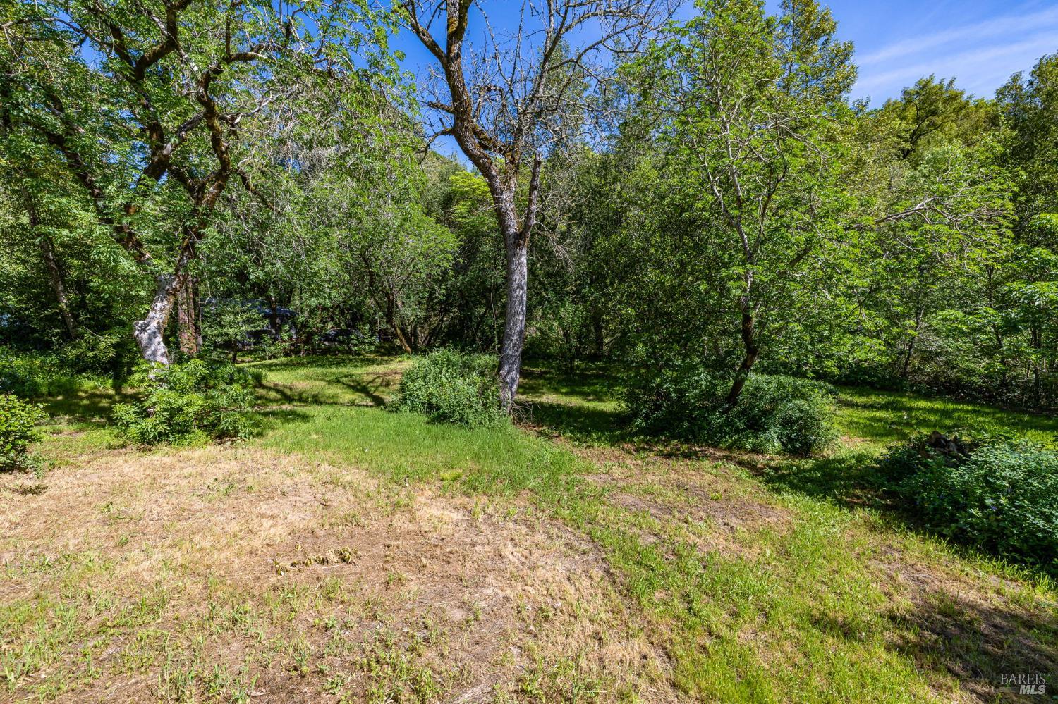 3320 Redwood Road Napa, CA 94558 - Photo 21 of 57 a view of backyard with green space