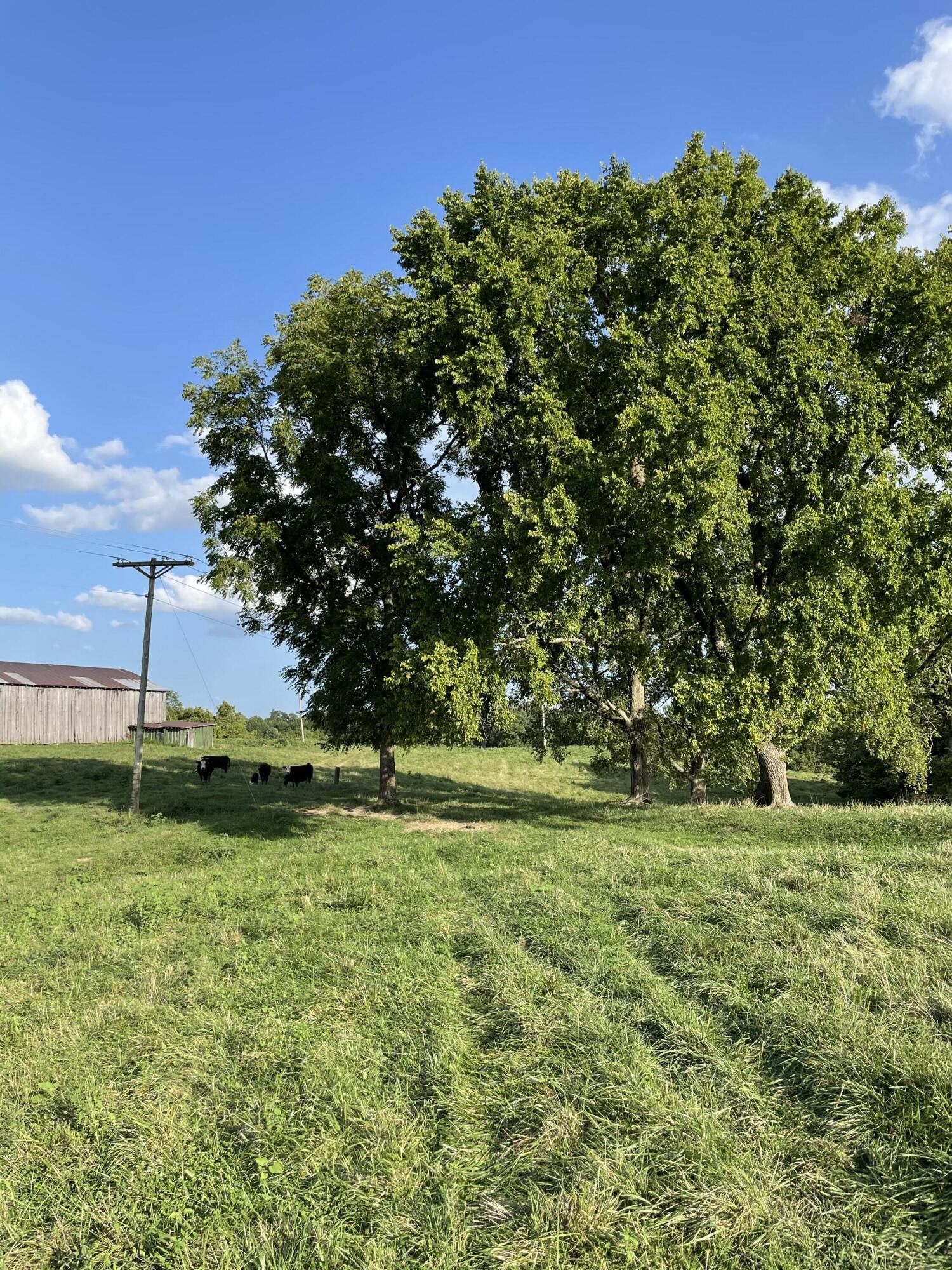 247 Whitlock Road Richmond, KY 40475 - Photo 37 of 44 A18D449B-6A97-4D93-AC17-708B4849D31C