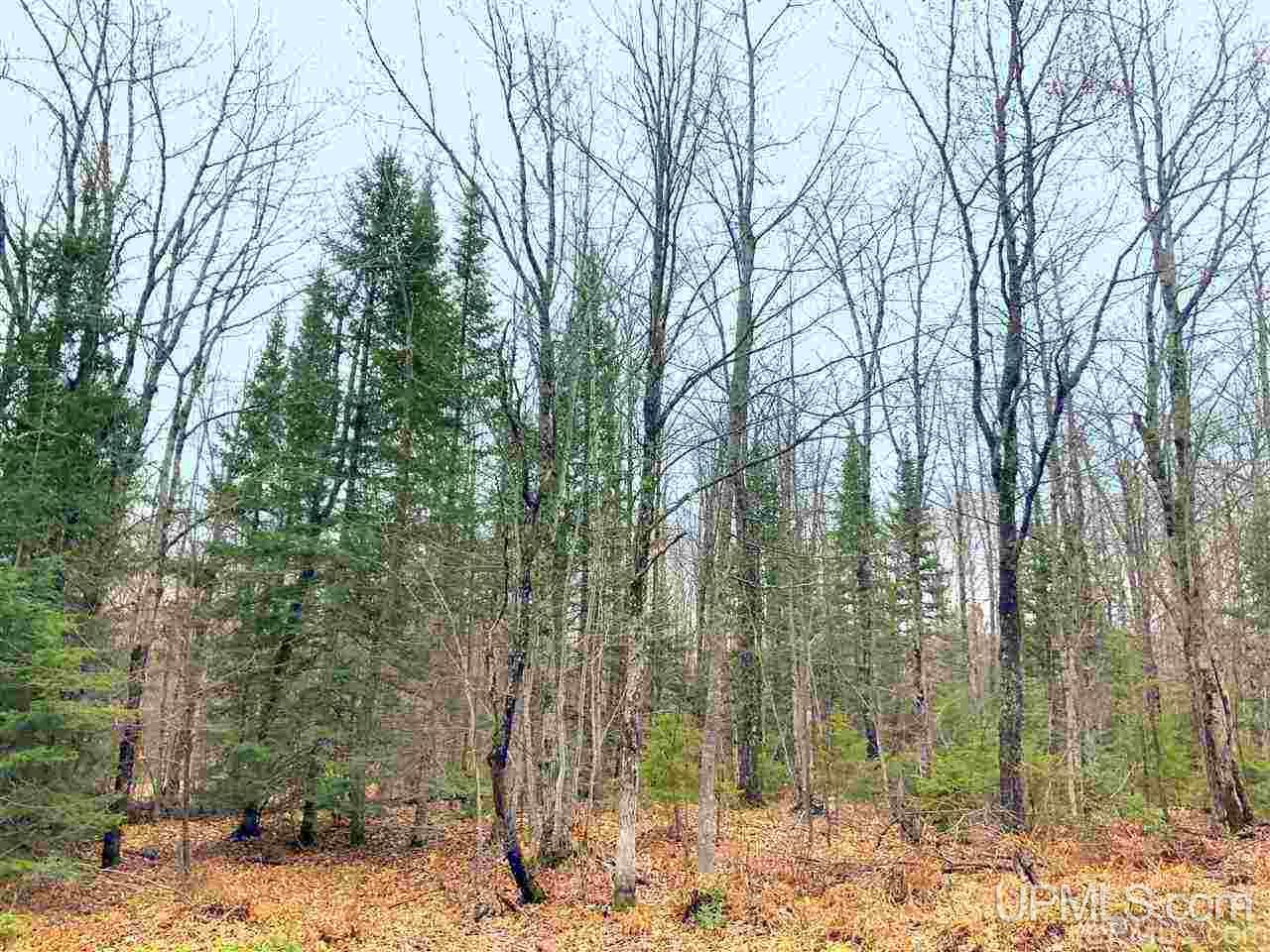 Tbd Tbd Corner Road Negaunee, MI 49866 - Photo 3 of 8
