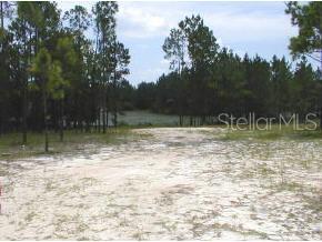 125 Lake Ray Road Hawthorne, FL 32640 - Photo 1 of 1 Gallery Image 1