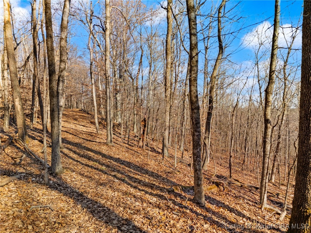 Walnut Valley Road Corydon, IN 47112 - Photo 37 of 37