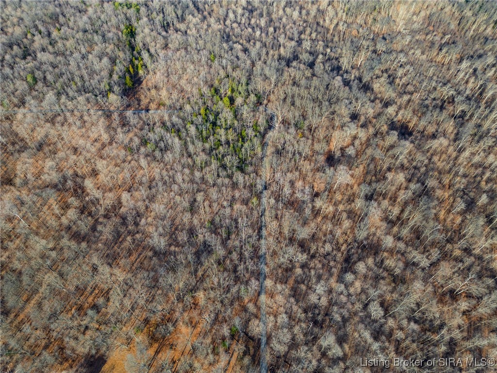 Walnut Valley Road Corydon, IN 47112 - Photo 6 of 13