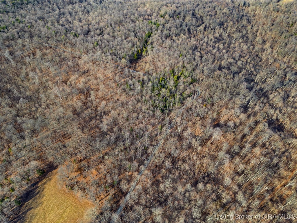 Walnut Valley Road Corydon, IN 47112 - Photo 7 of 13