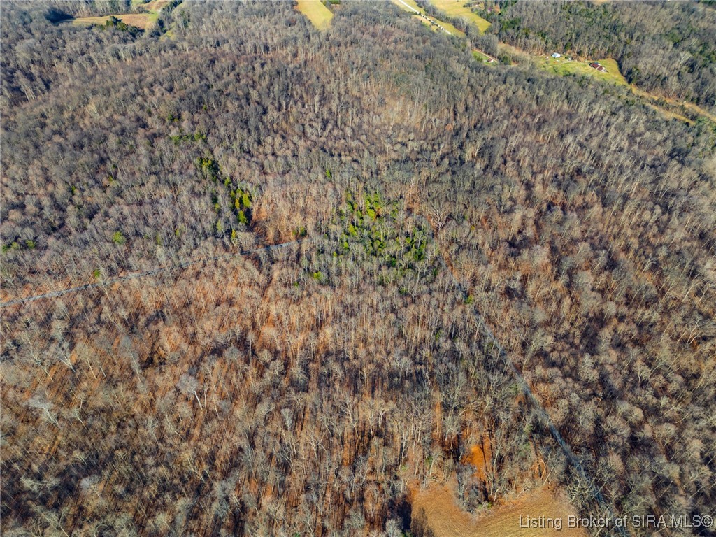 Walnut Valley Road Corydon, IN 47112 - Photo 9 of 13