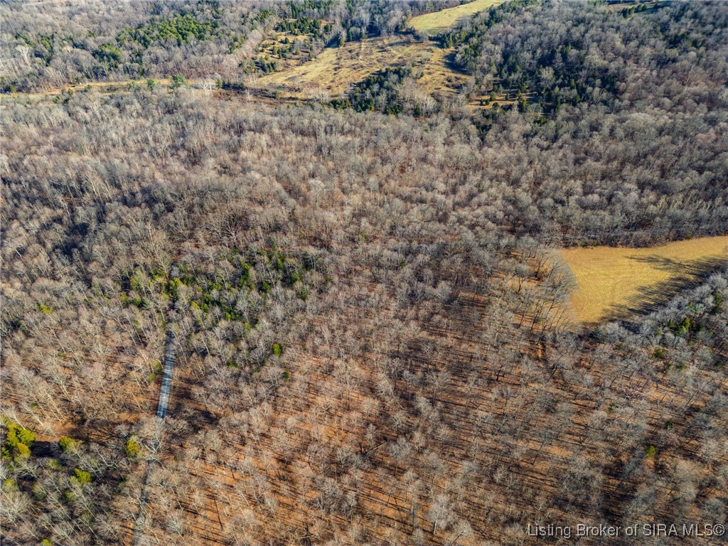 Walnut Valley Road Corydon, IN 47112 - Photo 10 of 13