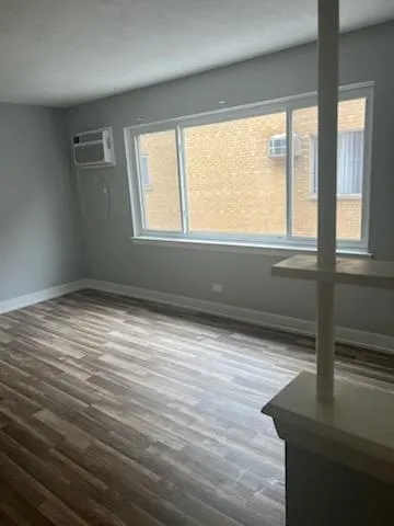 $1,100 | 8741 South Cottage Grove Avenue, Unit 1E, Chicago, IL 60619