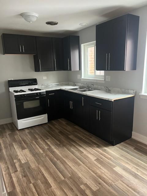 8741 South Cottage Grove Avenue, Unit 1E Chicago, IL 60619 - Photo 3 of 6 a kitchen with stainless steel appliances granite countertop a stove and a sink