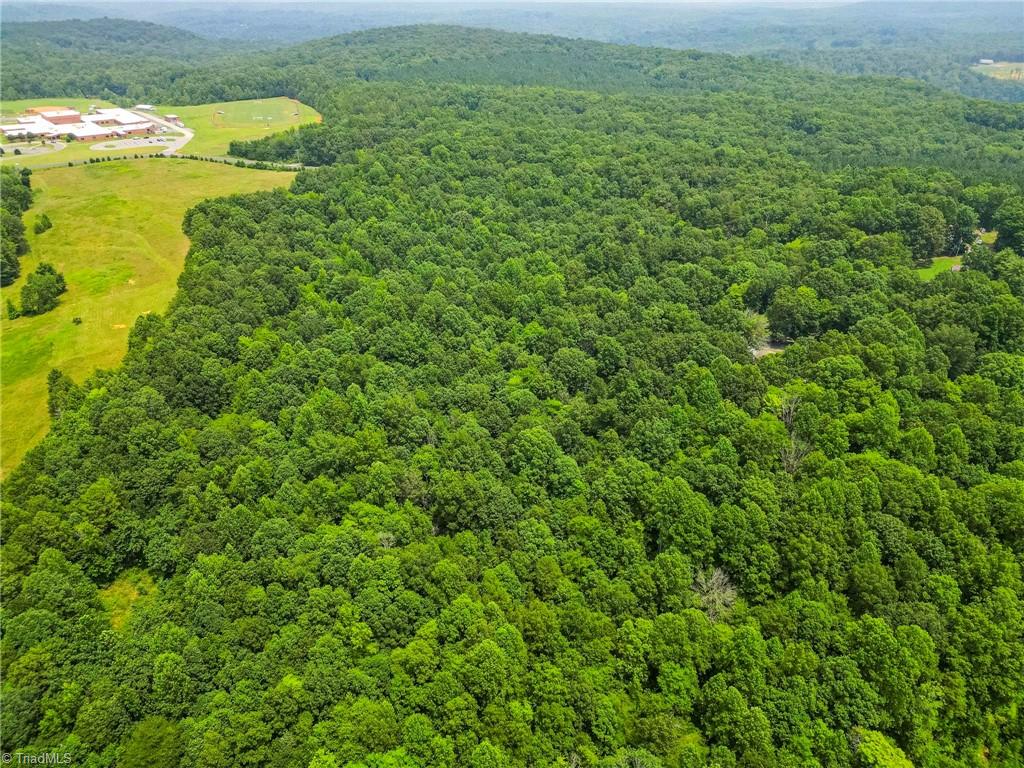 0 Pleasant Union Road Trinity, NC 27370 - Photo 3 of 12 Great timber value/ In Forestry Program