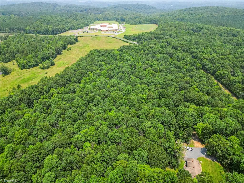 0 Pleasant Union Road Trinity, NC 27370 - Photo 5 of 12 Surrounded by local mountains