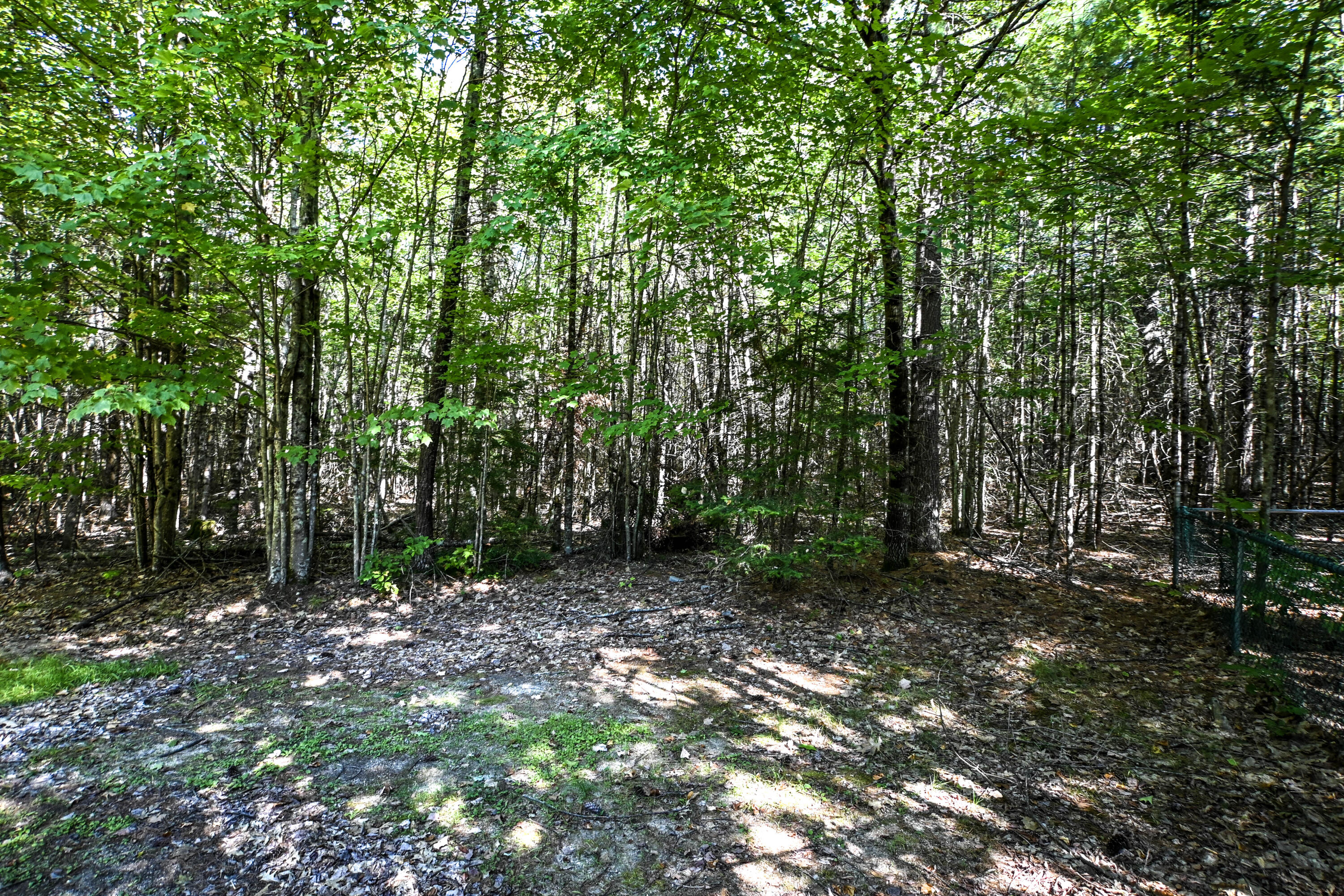465 Manchester Road Steep Falls, ME 04085 - Photo 90 of 111 465ManchesterRd-34