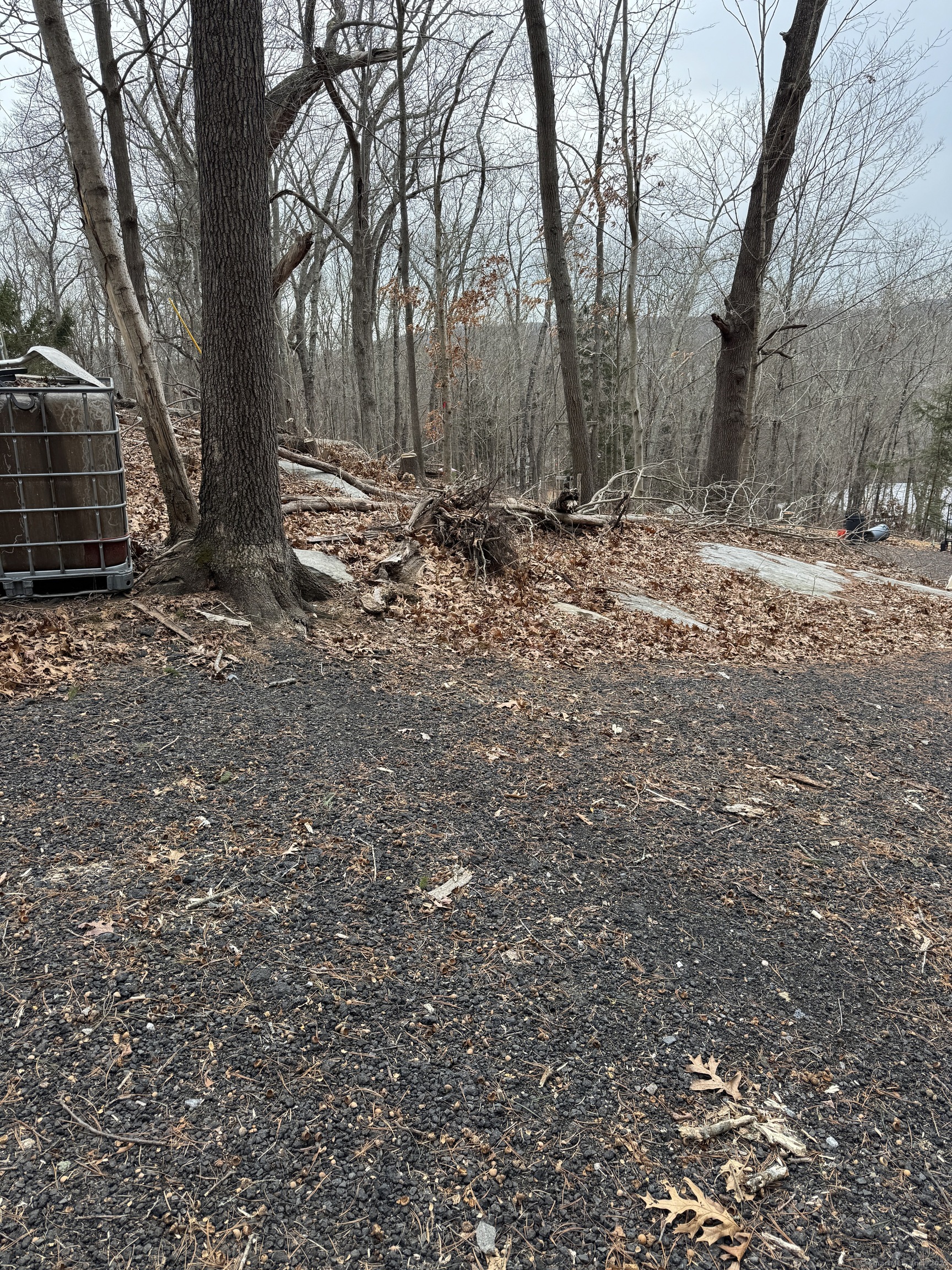 33 Castle Heights Deep River, CT 06417 - Photo 2 of 8