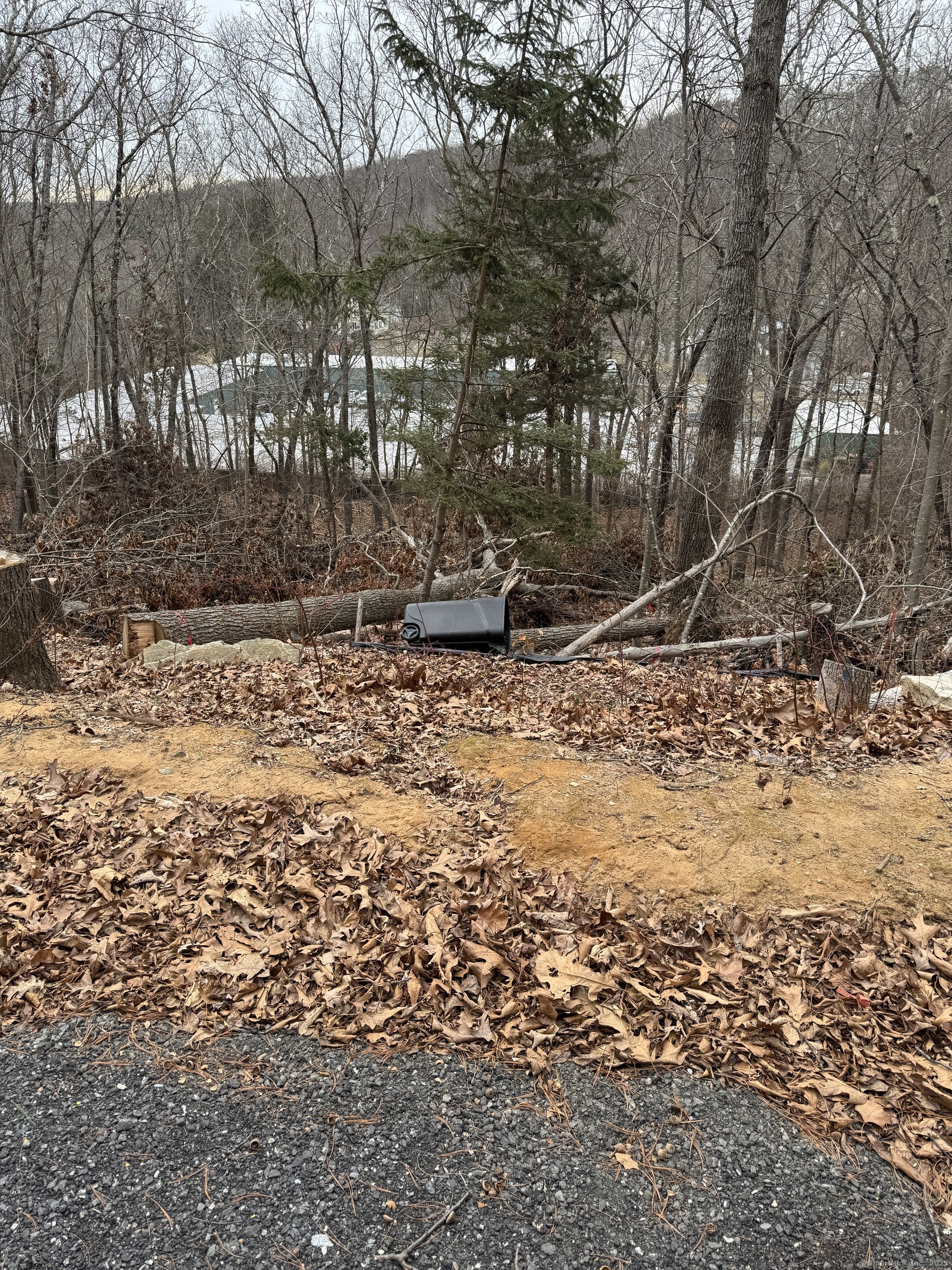 33 Castle Heights Deep River, CT 06417 - Photo 6 of 8